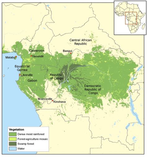 1398. The Rainforests in Congo Basin Show Signs of Climate Change Stress