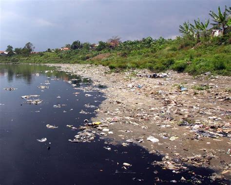 5 Sungai Terbersih dan Terjernih di Muka Bumi | KASKUS