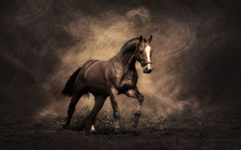 Dark Horse Wallpaper (63+ images)