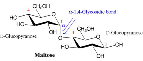 MOTD Disaccharides