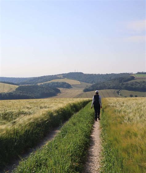 Hiking the South Downs Way : 100 miles of history & beautiful ...