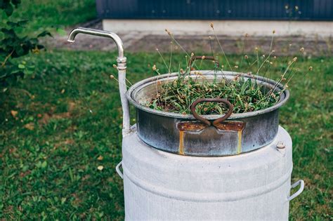 Garden Watering Can Bucket - Free photo on Pixabay - Pixabay