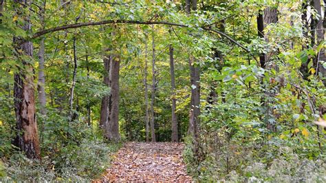 Cincinnati Nature Center: Ten trails to hike