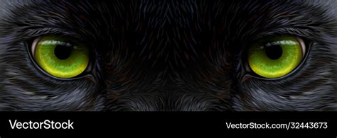 Big eyes panther black leopard eyes close-up Vector Image