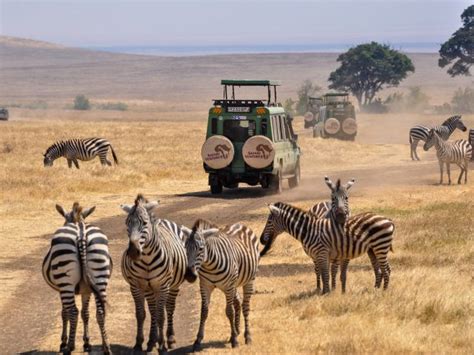 African Safari & Tours - The Ultimate Travel Guide - Darbi Blog