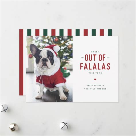 Funny Pet Christmas Cards | 2023 Holiday Collection - Banter and Charm