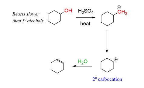 Cyclohexanol Dehydration