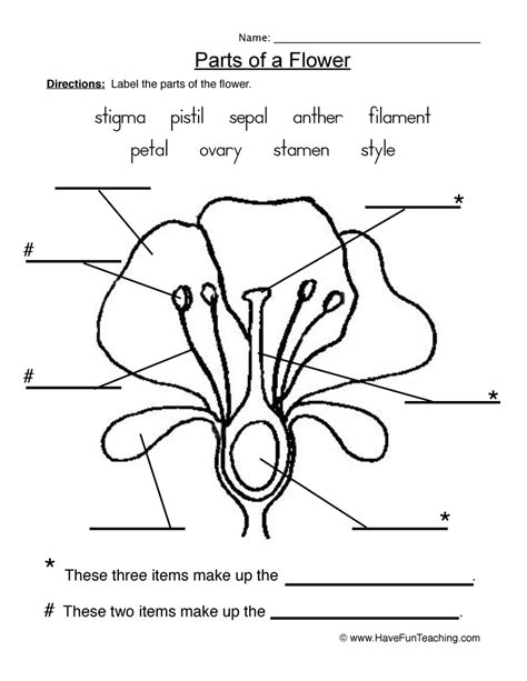 Flowers - Parts of a Plant Worksheet 1