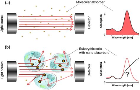 Principle of UV-VIS spectrophotometry. (a) Detected UV-VIS spectrum for ...