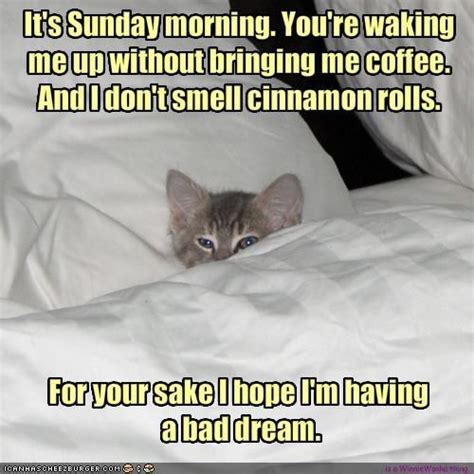 Funny Sunday Morning Coffee Meme - Mundodop