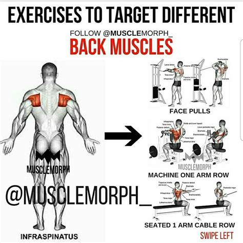 Back muscles training