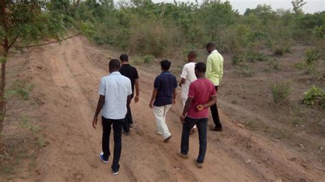 Cashew nut farming: The best & most profitable agro investment ...