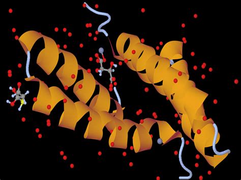 The Basics of Protein Structure and Function - Interactive Biology ...