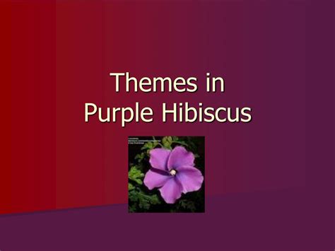 PPT - Themes in Purple Hibiscus PowerPoint Presentation, free download ...