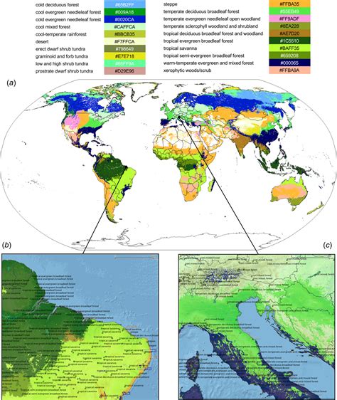 Natural Vegetation Map Of Europe - United States Map