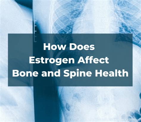 How Does Estrogen Affect Bone and Spine Health