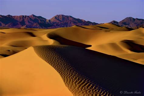 yuma sand dunes, Arizona | Arizona adventure, Yuma arizona, Yuma