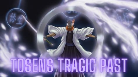 The Tragic Tale Of Tosen | Tosen's Dark Past Explained -Full Bleach ...