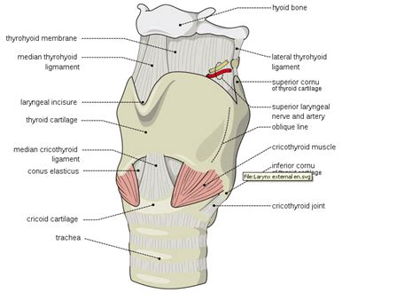 Difficult Airway Workshop at Chennai | Be an expert in just 8 Hrs ...