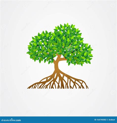 Mangrove Tree with Roots and Green Leaves Vector Illustration Stock ...