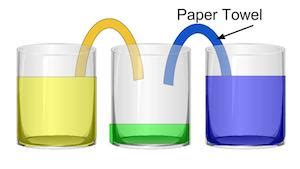 Capillary Action Experiment - Science Class [2021] | Study.com