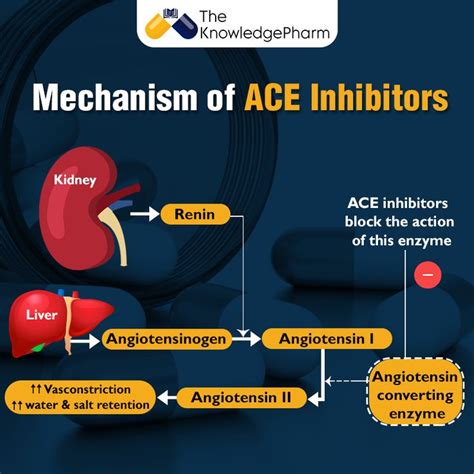 Mechanism of ACE Inhibitors | Nursing student tips, Enzyme inhibitor ...