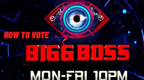 Bigg Boss 16: How to Vote for your favorite contestants, voting lines ...