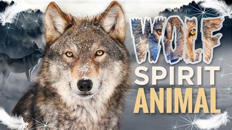 Wolf Spirit Animal – What it Means to Have the Wolf as Your Spirit ...