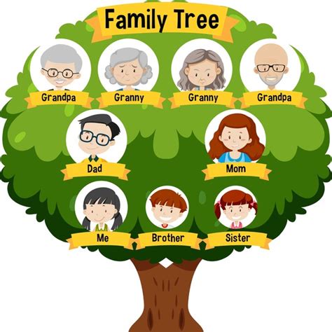 36,344 Characters Family Tree Royalty-Free Photos and Stock Images ...