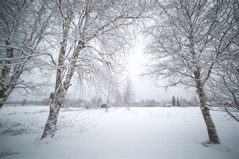 Snow Whisperer, Finland | Viva La Vita