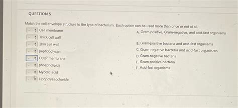 [Solved] QUESTION 5 Match the cell envelope structure to the type of ...