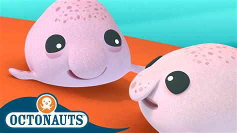 Octonauts - Blobfish Brothers and The Beluga Whales | Cartoons for Kids ...