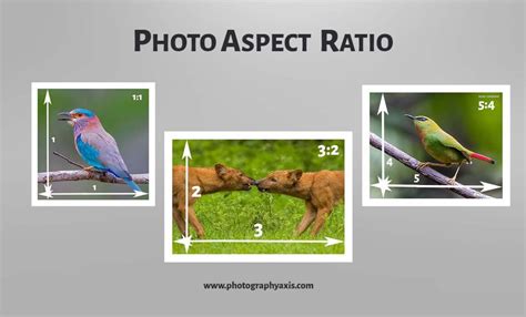 Aspect Ratio- Which is Best For Your Images? - PhotographyAxis