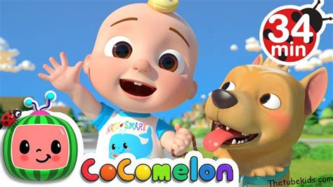 JJ Song More Nursery Rhymes & Kids Songs - CoComelon - 2024