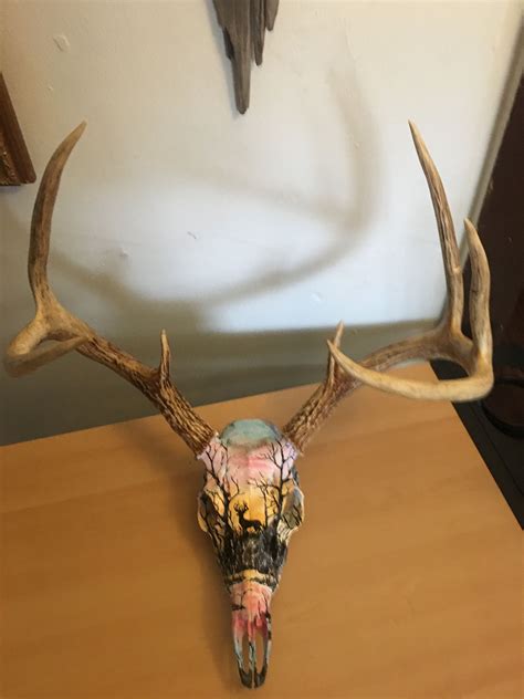 Hand painted deer skull. Euro-mount. | Deer skull art, Painted deer ...