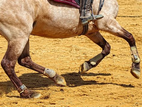 Horse Arena Footing Care & Maintenance | Marysville, CA | Pro Footing