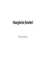 Naegleria fowleri - Naegleria fowleri Prevention Prevention The risk of ...