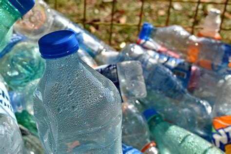 Researchers Discover an Easy Way to Get People to Recycle - Carroll ...