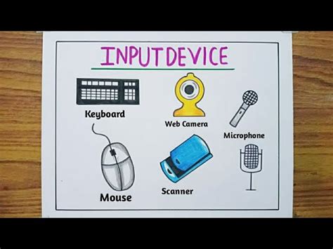 Details more than 83 input devices drawing - xkldase.edu.vn