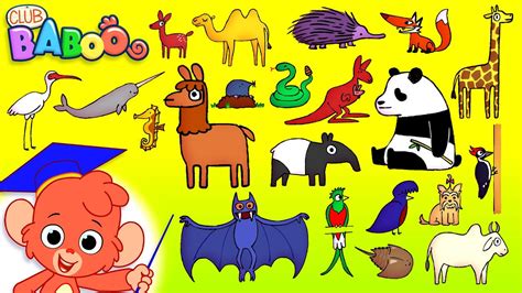 Animal ABC | Learn the Alphabet with 26 CARTOON ANIMALS for kids | ABCD ...