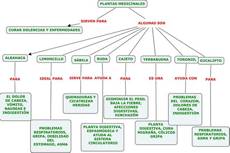 plantas medicinales : Mapa Conceptual Sobre Las Plantas Medicinales ...