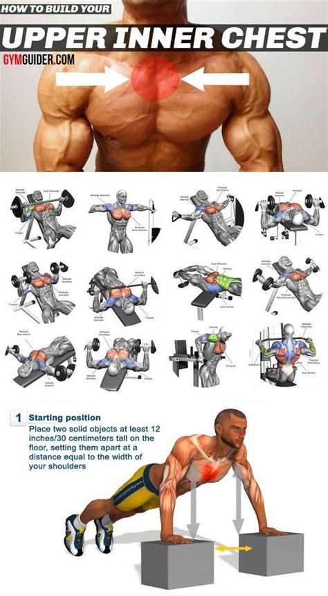 32+ Chest exercises for beginners men | absworkoutroutine