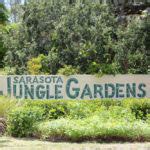 Sarasota Jungle Gardens | Must Do Visitor Guides