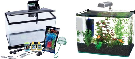 10 Gallon Aquarium Fish Capacity - Din Aquarium Fish