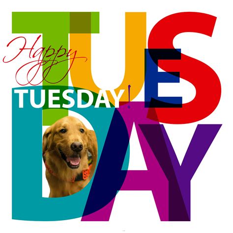 Happy Tuesday! — with Tuesday in New York. | Happy tuesday, New puppy ...