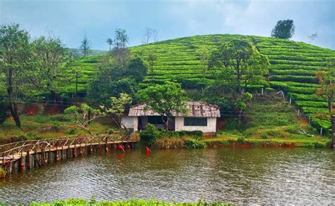 Trekking at Thangal Para - Vagamon - Connecting Traveller