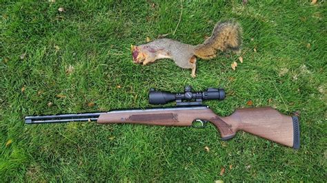 Best air rifle of 2017 | Shooters Forum