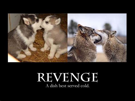 Funny Revenge Quotes. QuotesGram