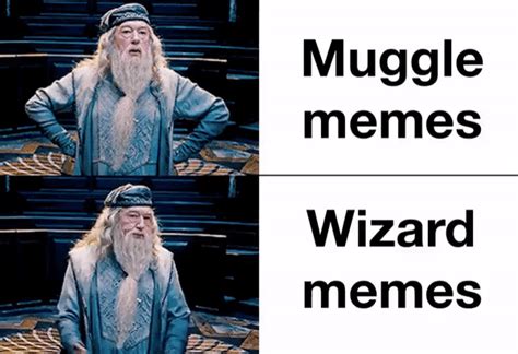 Memes: Muggle vs Wizard - Harry Potter fan Art (43909377) - fanpop