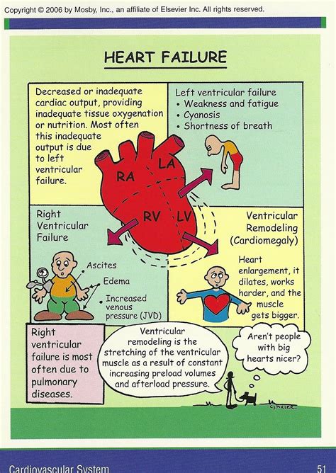 Pin by Avicenna's Medical notes on Nursing | Nursing school survival ...